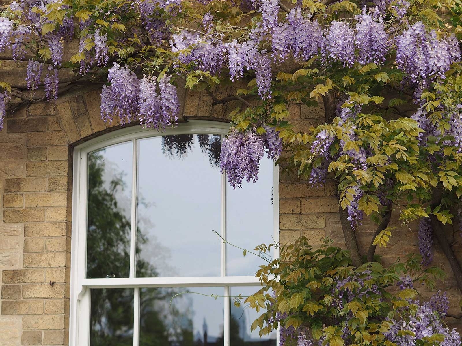 uPVC Sash Window Designs Cardiff