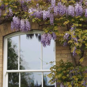 How to Improve Your Home for Spring with Panoramic Windows